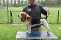 Afb_20161002_Harry (2)